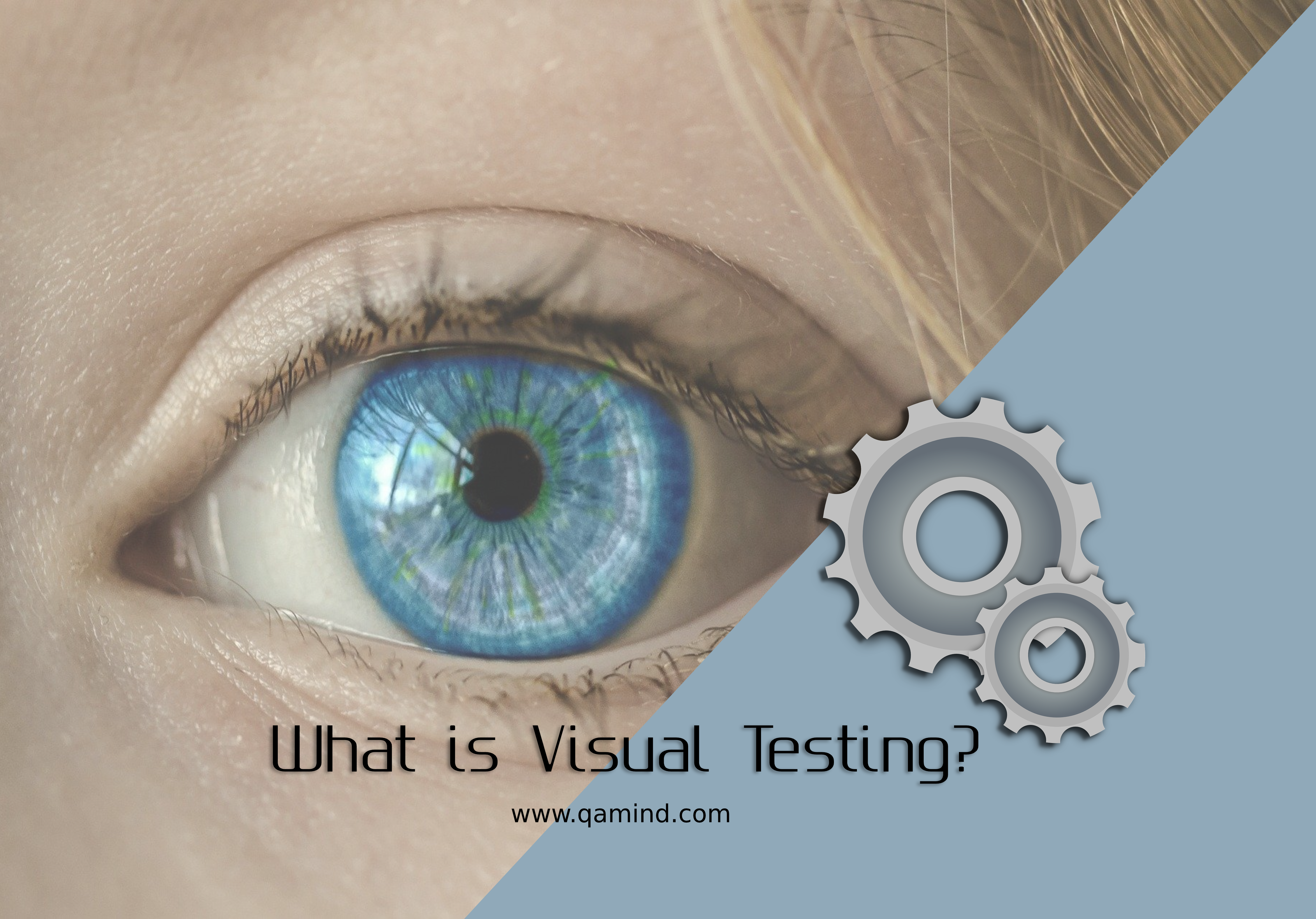 Visual Testing