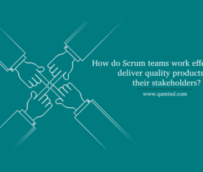 Scrum team