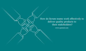 Scrum team