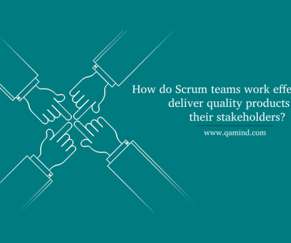 Scrum team